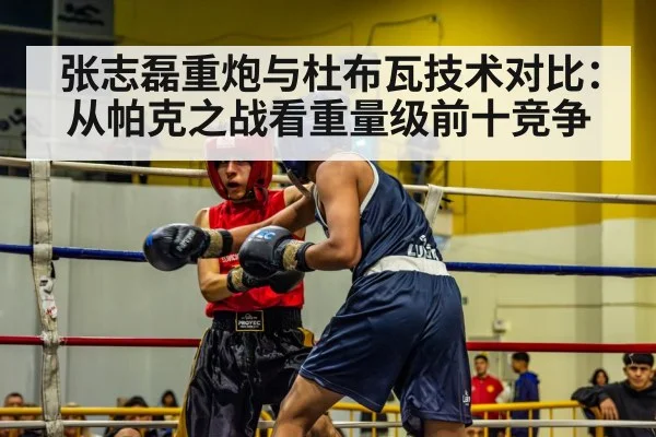 张志磊重炮与杜布瓦技术对比：从帕克之战看重量级前十竞争