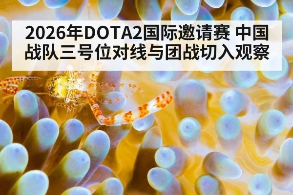 2026年DOTA2国际邀请赛 中国战队三号位对线与团战切入观察